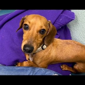 Meet your Posher, Amy